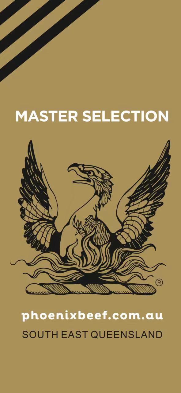 20金凤凰纯种和牛