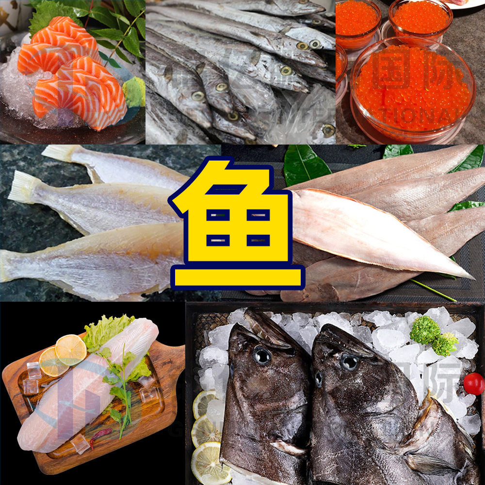 魚.jpg