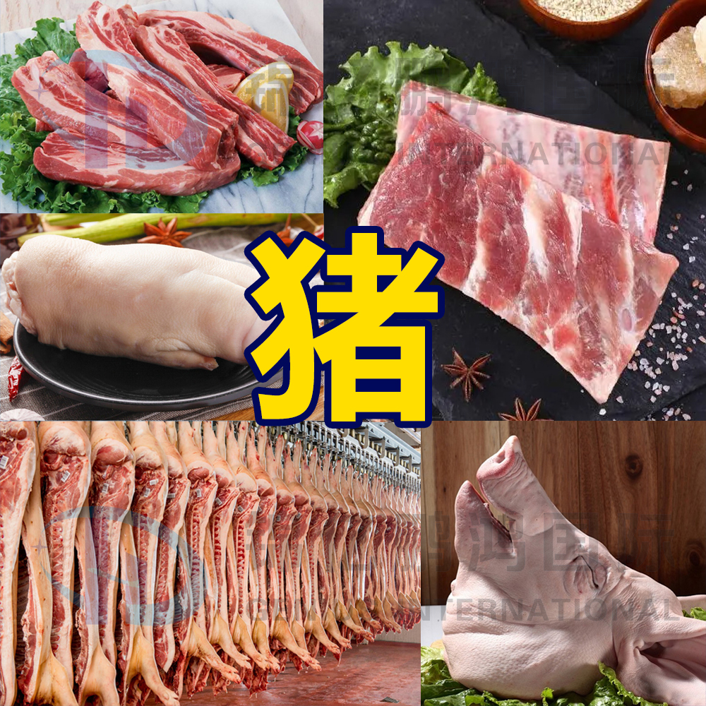 豬.jpg