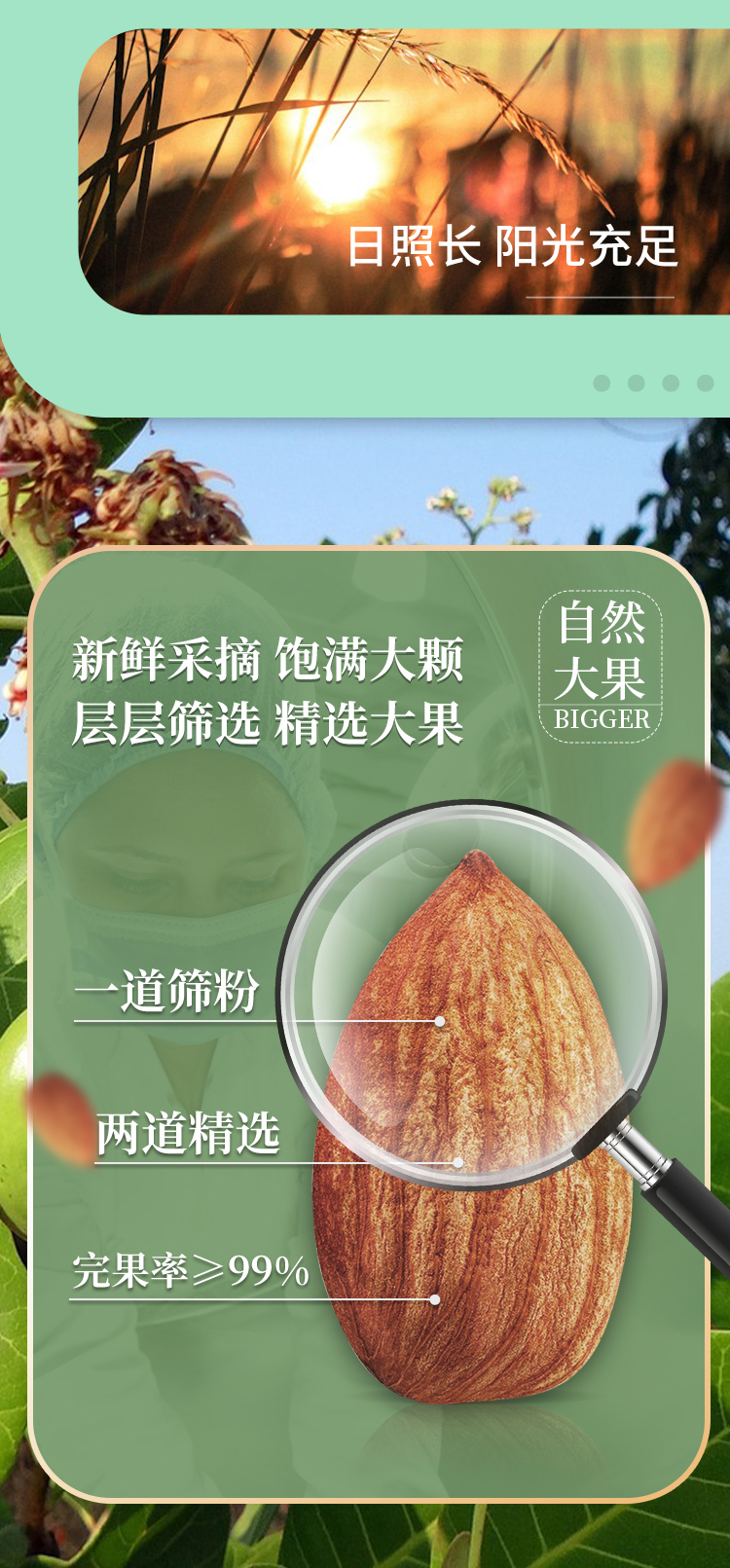 500g扁桃仁1_03.jpg