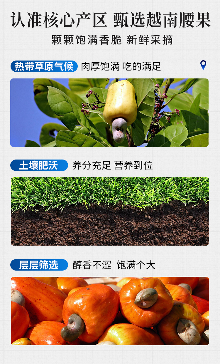 腰果1kg原味_03.jpg