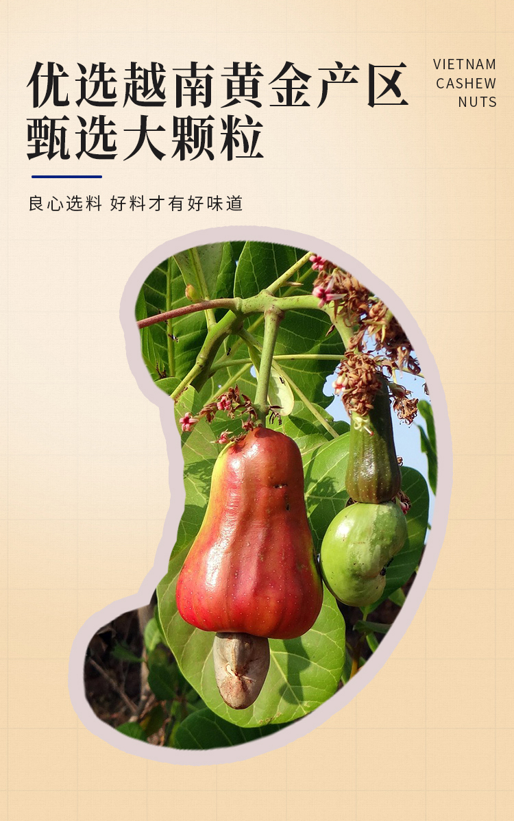 紫衣腰果1kg淡鹽-拷貝_02.jpg