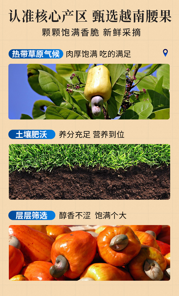 紫衣腰果1kg淡鹽-拷貝_03.jpg