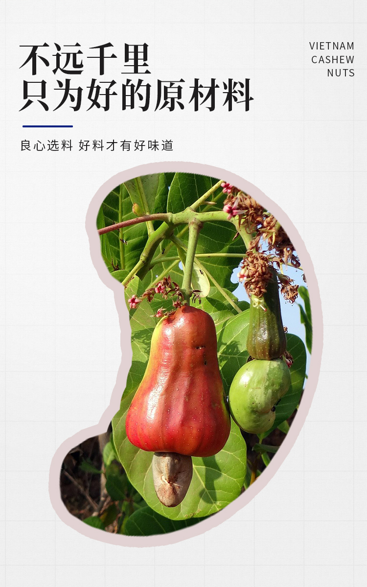 腰果1kg淡鹽_02.jpg