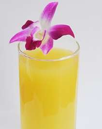 冷凍濃縮菠蘿汁