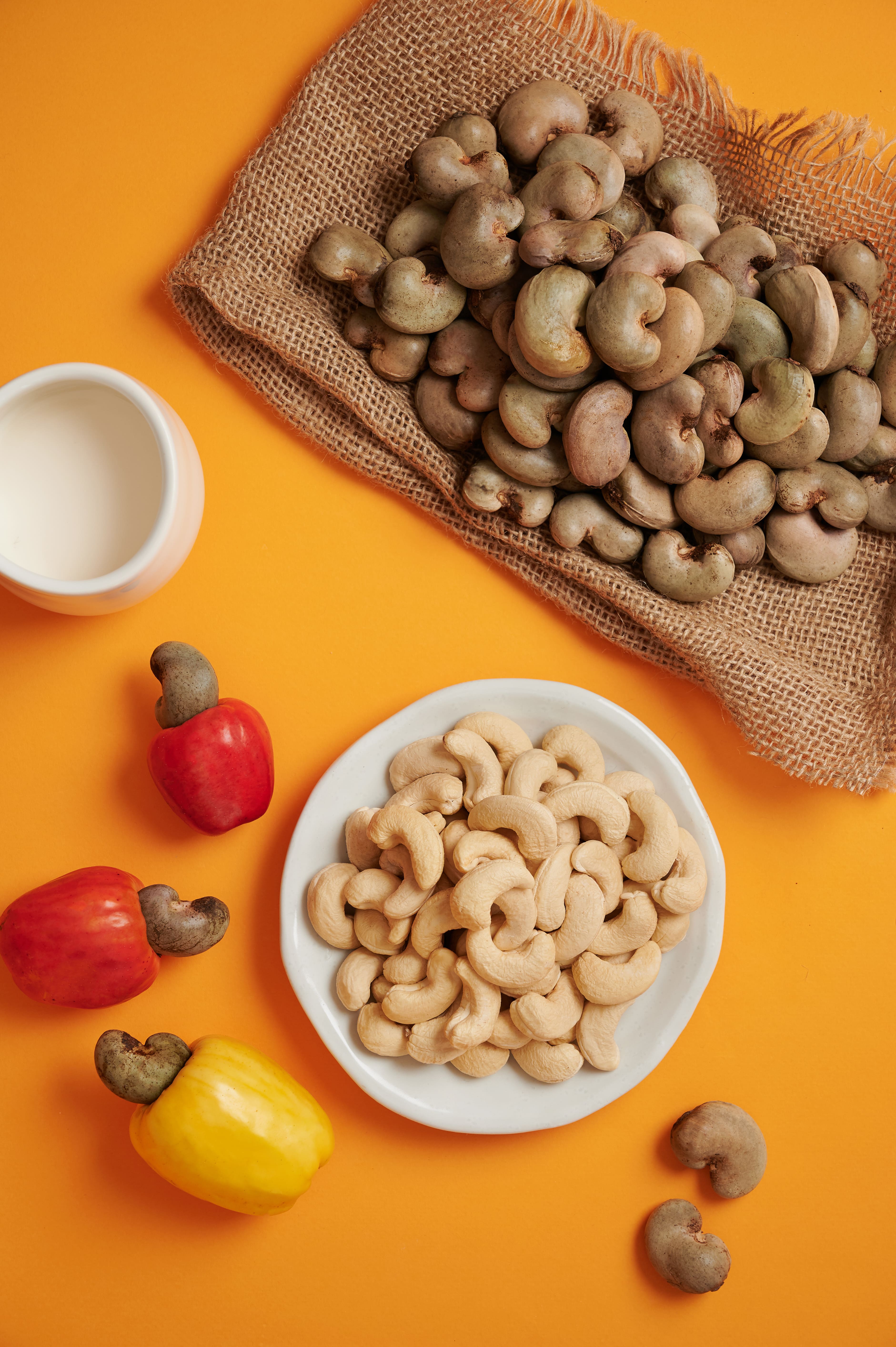 03-16 HS58762-min.jpg