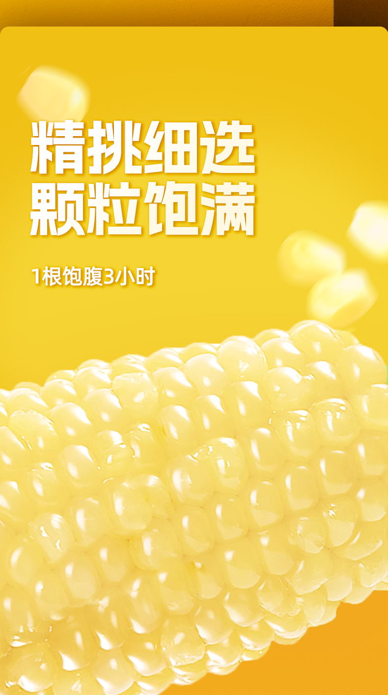 糯玉米_05.jpg