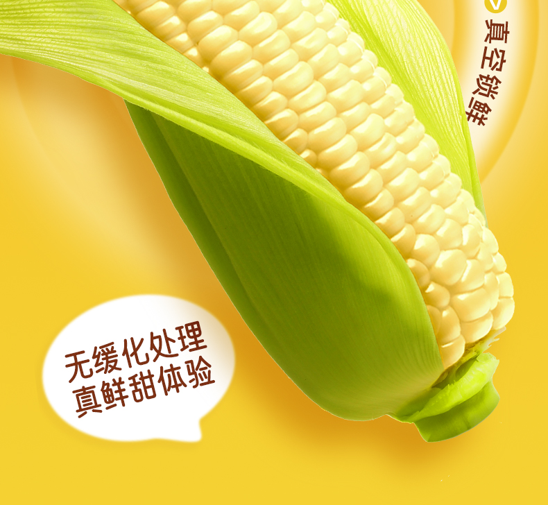糯玉米_07.jpg