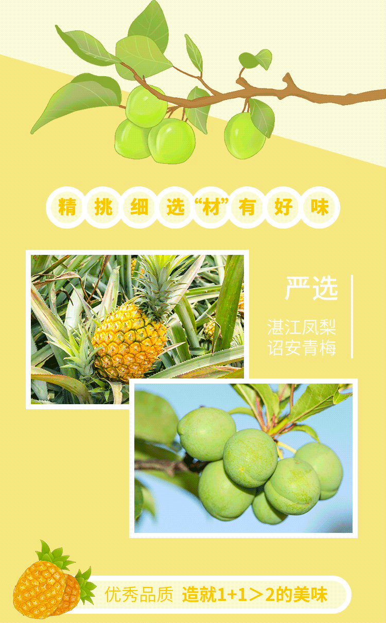 黑凤梨_05.png