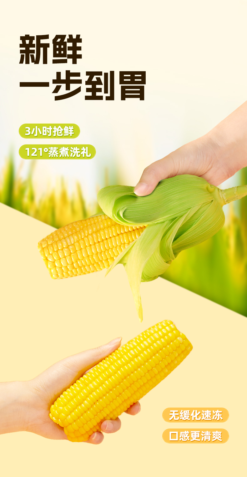 甜玉米棒_04.jpg