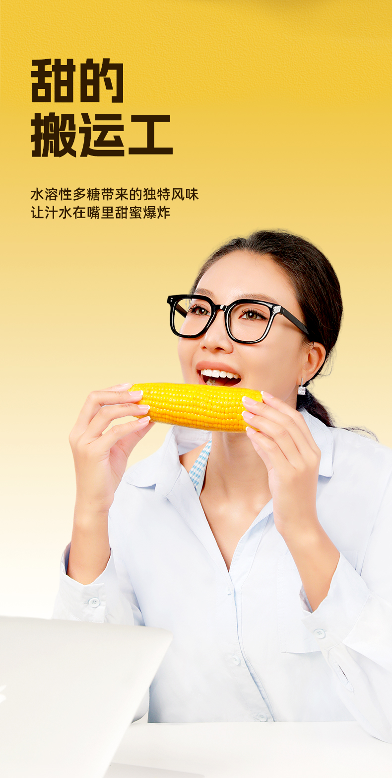 甜玉米棒_07.jpg