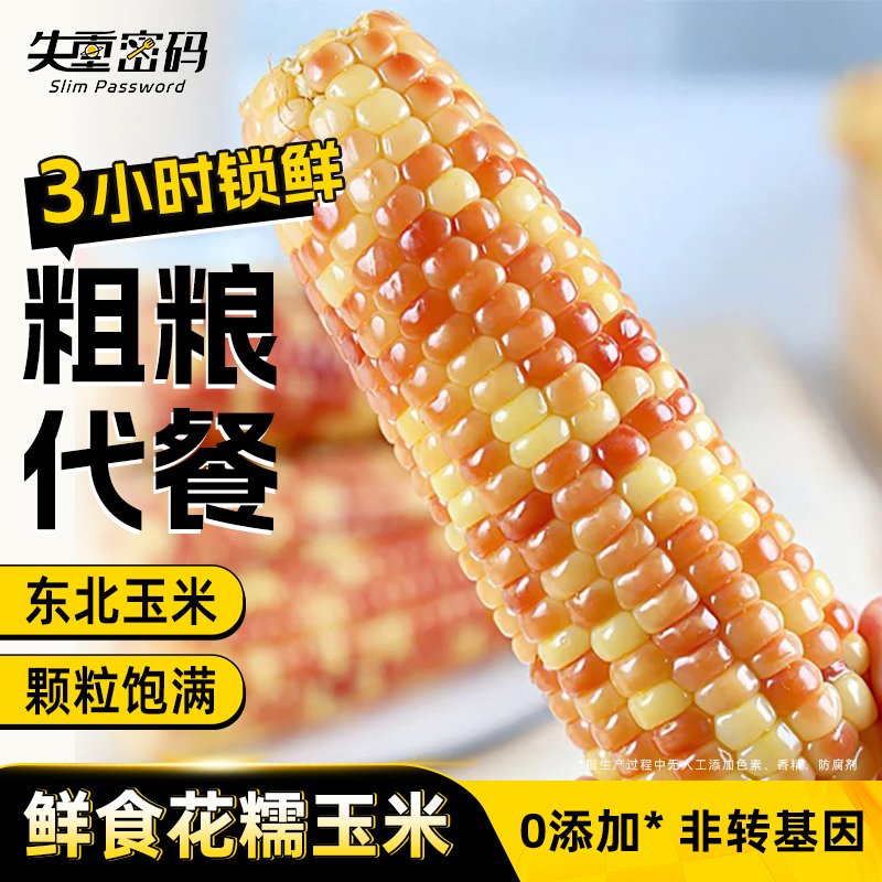 失重密碼花糯玉米甜糯 新鮮玉米棒非轉基因