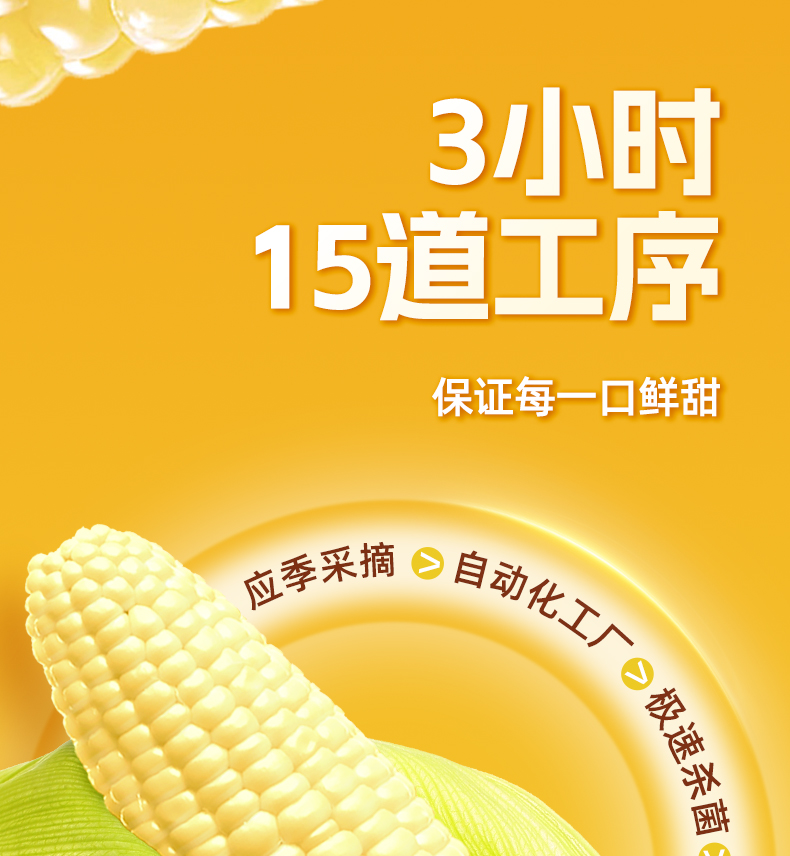 糯玉米_06.jpg