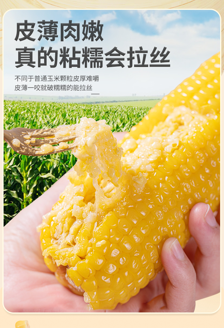 玉米详情页_03.jpg