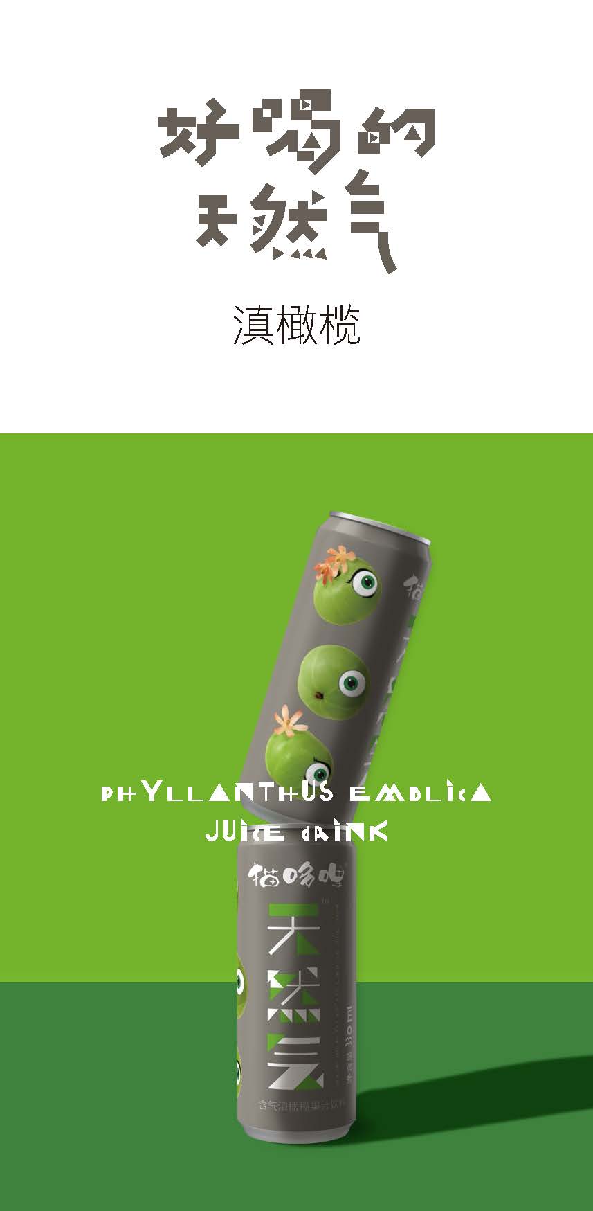 1117-含氣滇橄欖果汁說明書PDF_頁面_01.jpg