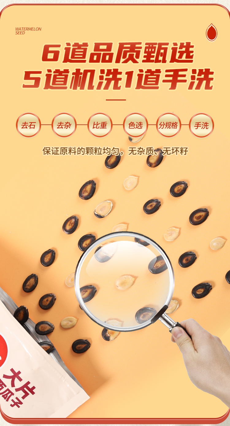 大片西瓜子_04.png