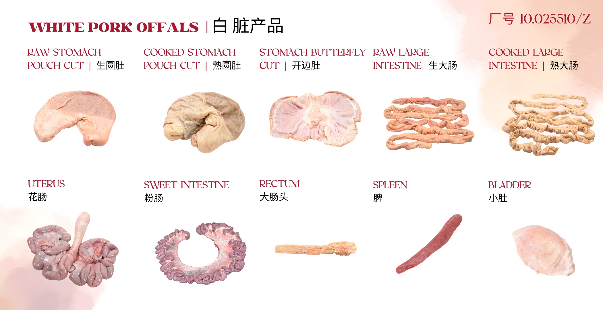 白 臟產(chǎn)品