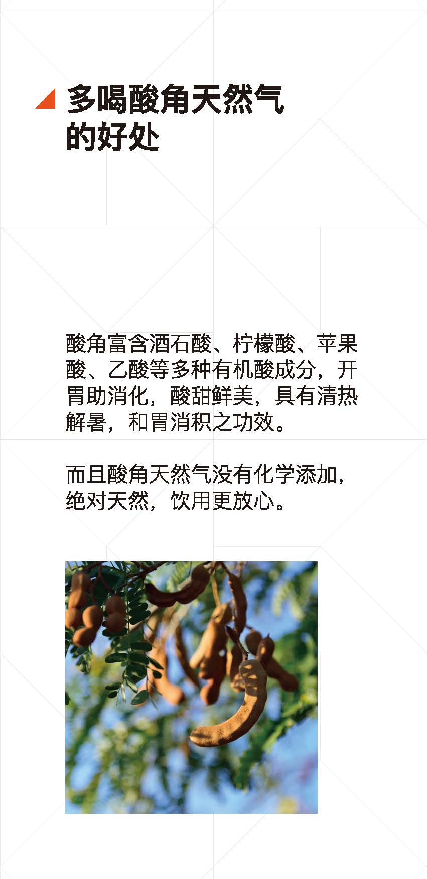 1117-含氣酸角果汁說明書PDF_頁面_11.jpg