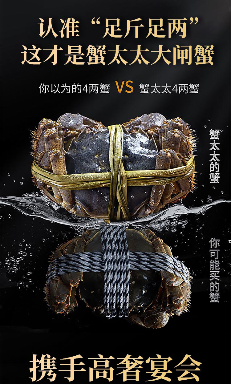2023蟹太太阳澄特供-2580 (10).jpg