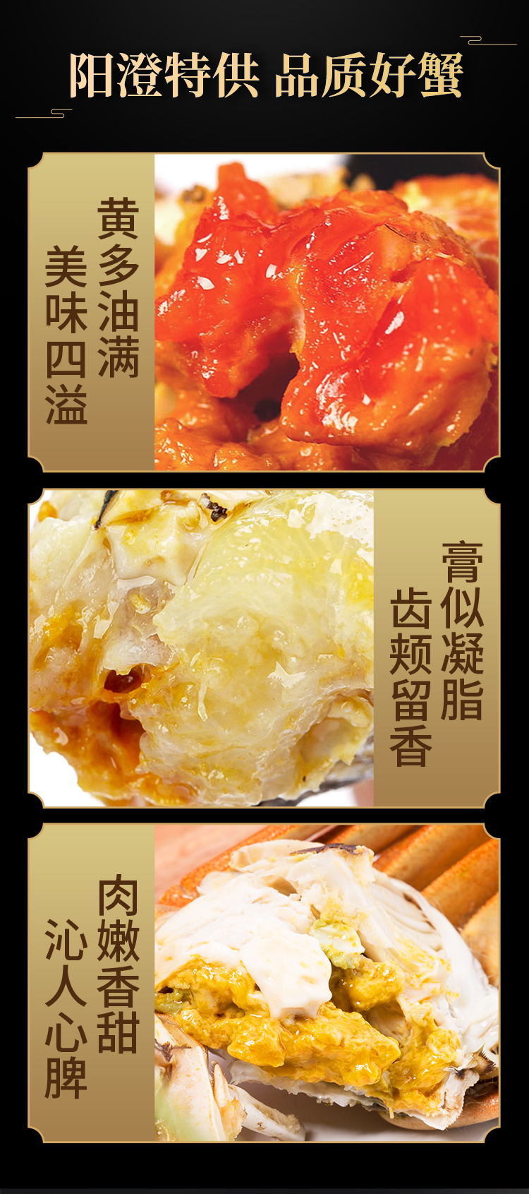 2023蟹太太阳澄特供-2580 (9).jpg