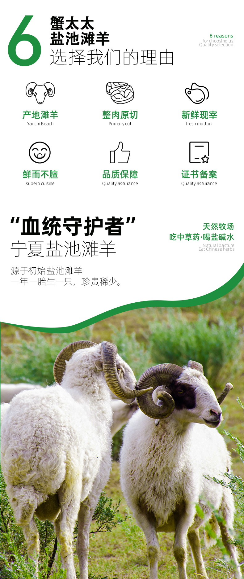 231114蟹太太×盐池滩羊详情页698_04.jpg