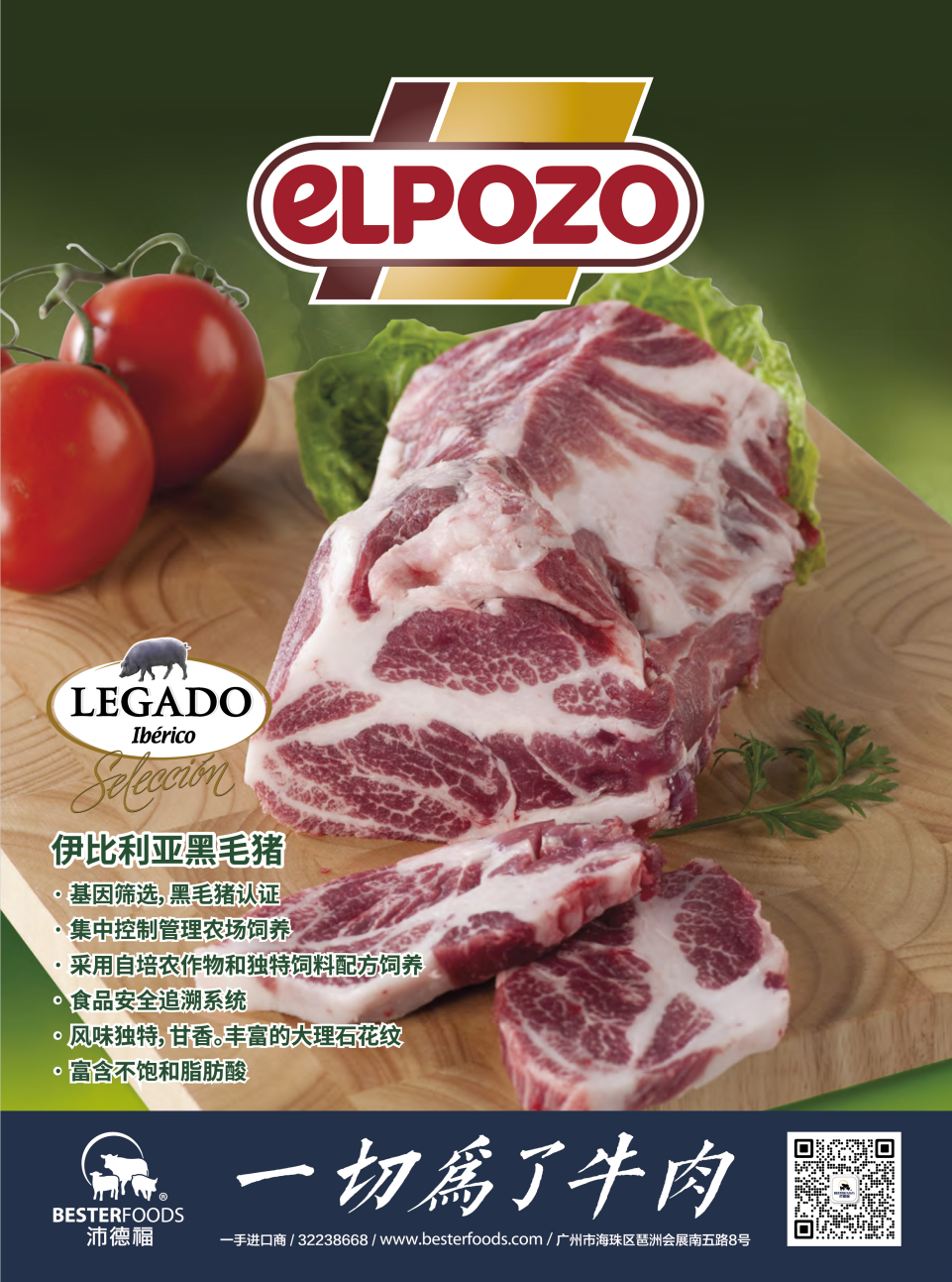 西班牙Elpozo黑毛豬