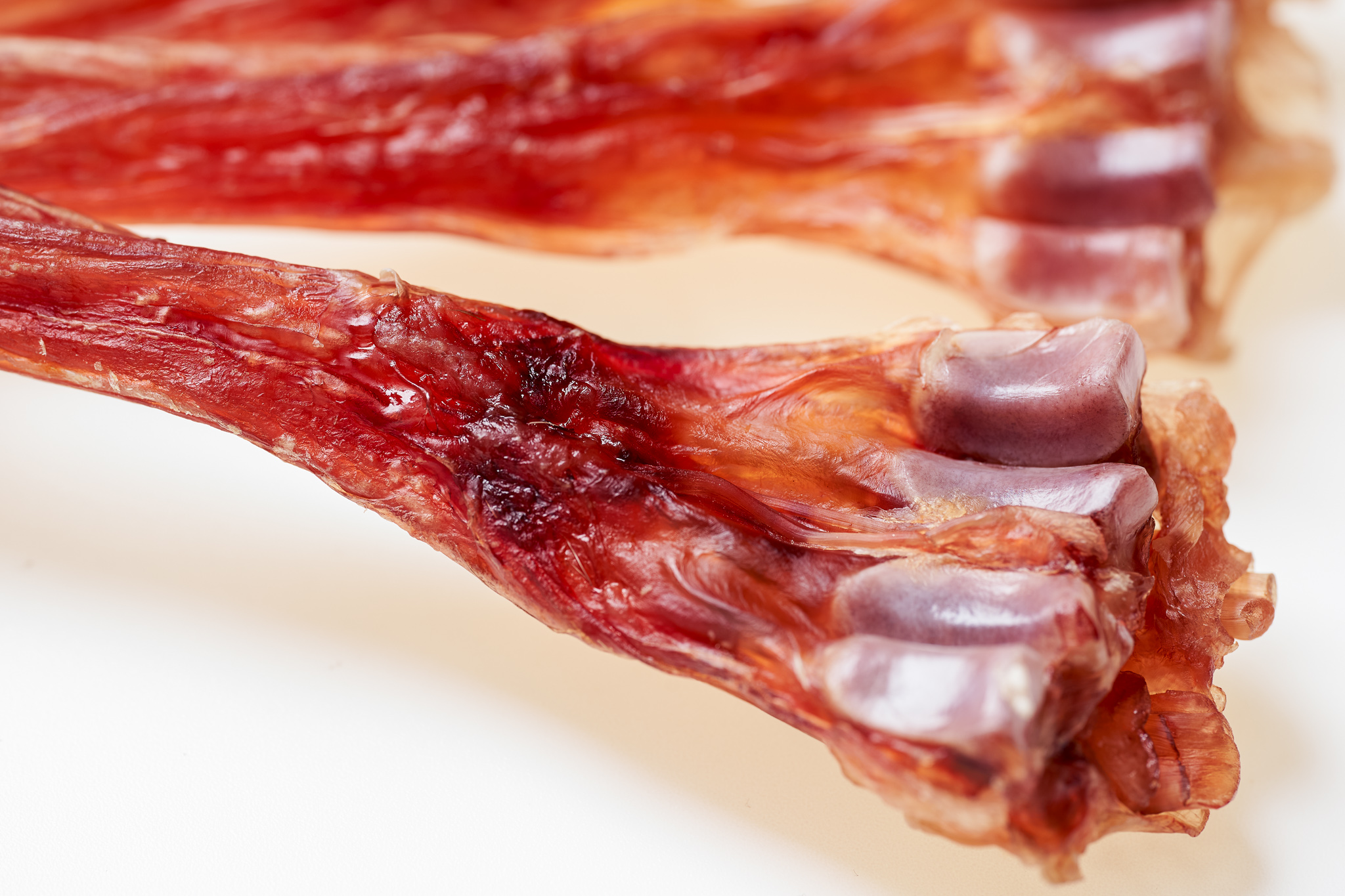 Deer Sinew Long (6).jpg