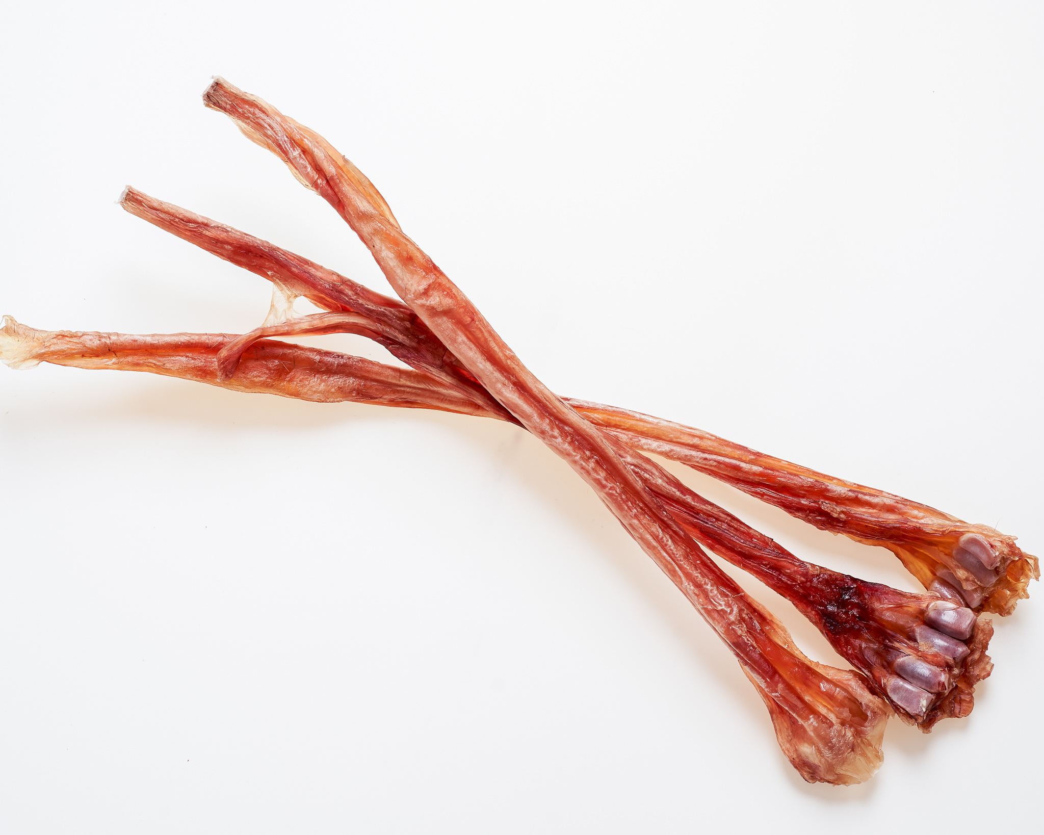 Deer Sinew Long (9).jpg