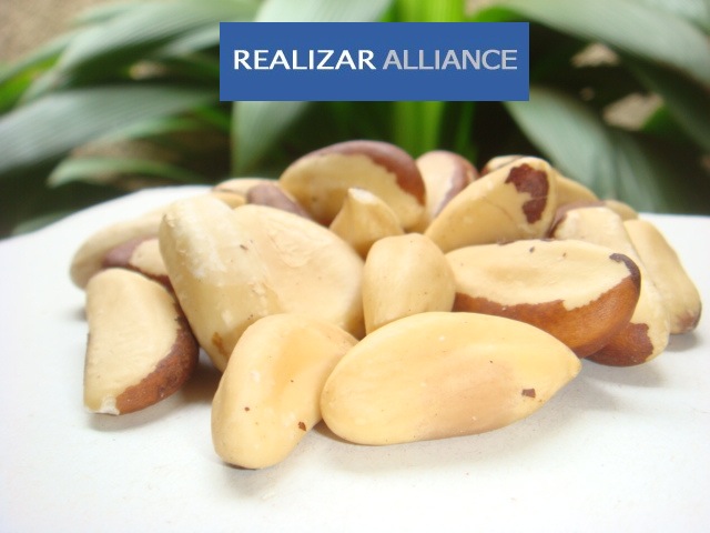 Brazil Nuts shelled Realizar Alliance.JPG