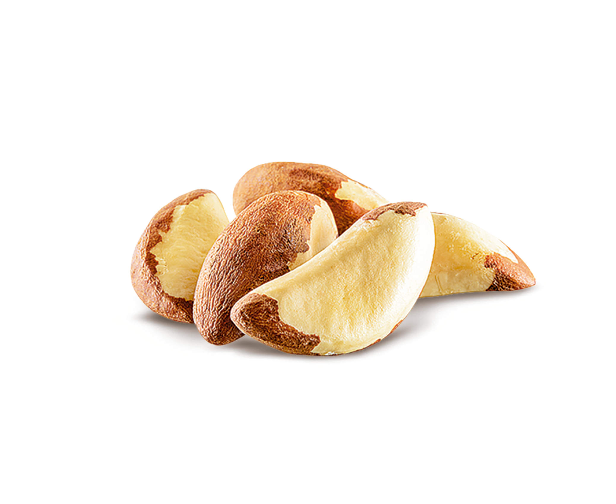 Castanha do Brasil sem casca.png