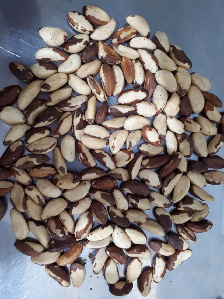 Brazil nuts medium size2.jpeg