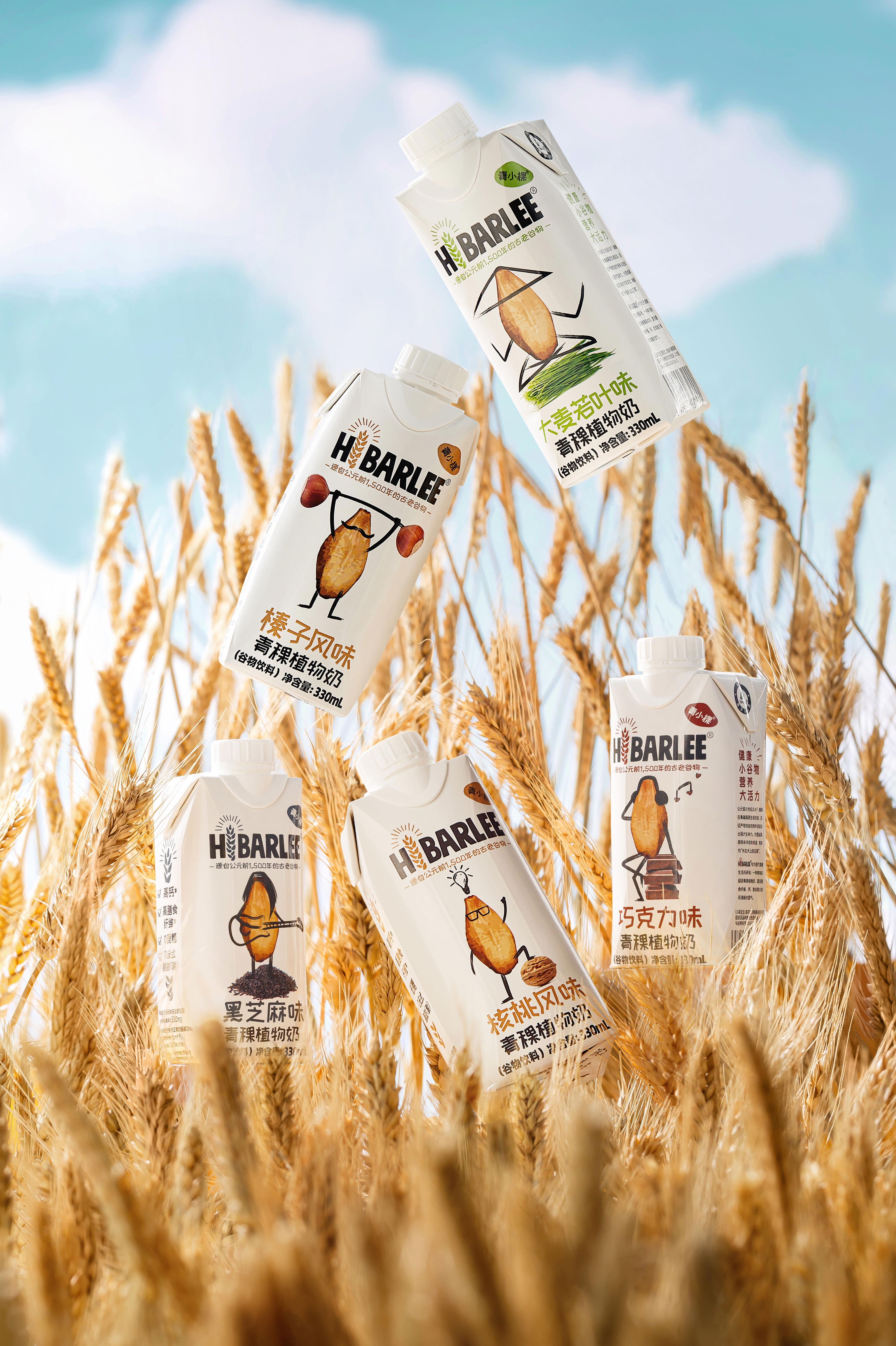 青小棵青稞植物奶