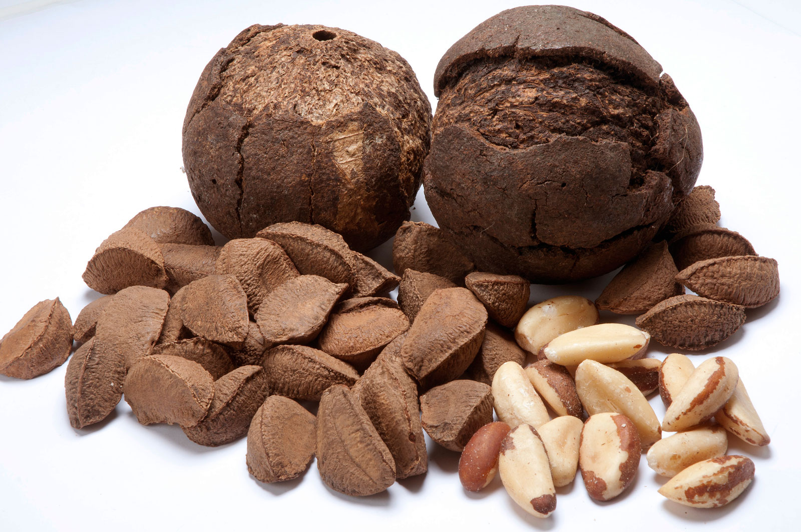 Inshell and Shelled.jpg