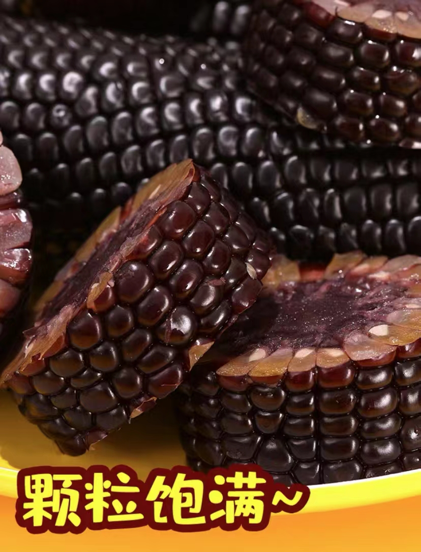 黑糯玉米