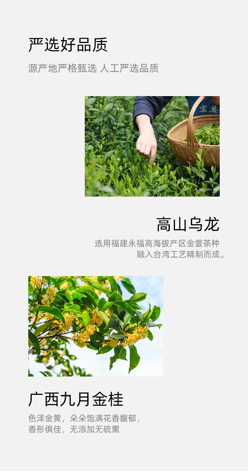 桂花乌龙茶_07.jpg