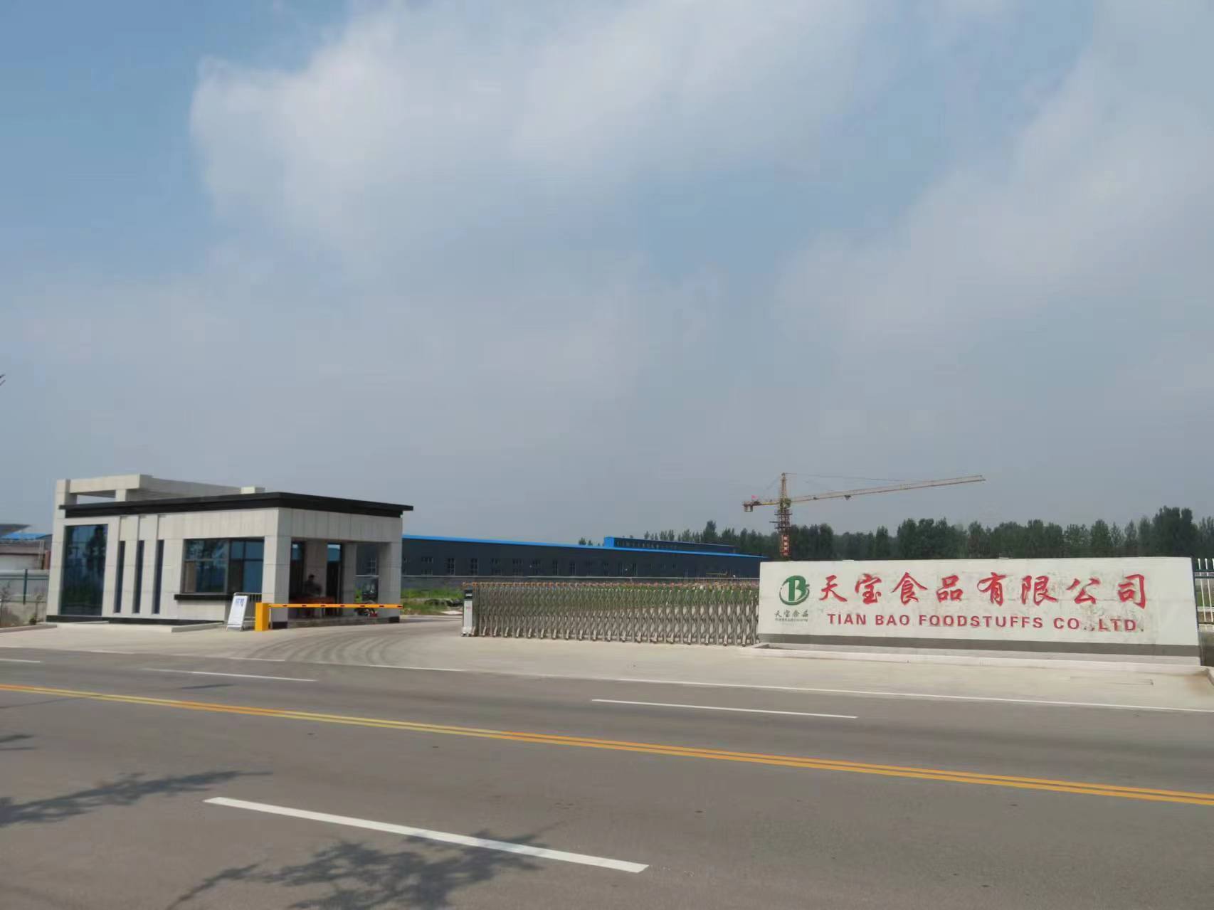 香蔥  綠筍  白筍  姜泥 蒜泥 彩椒