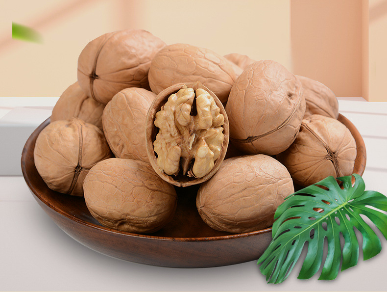 Xin 2 Walnut (2).png