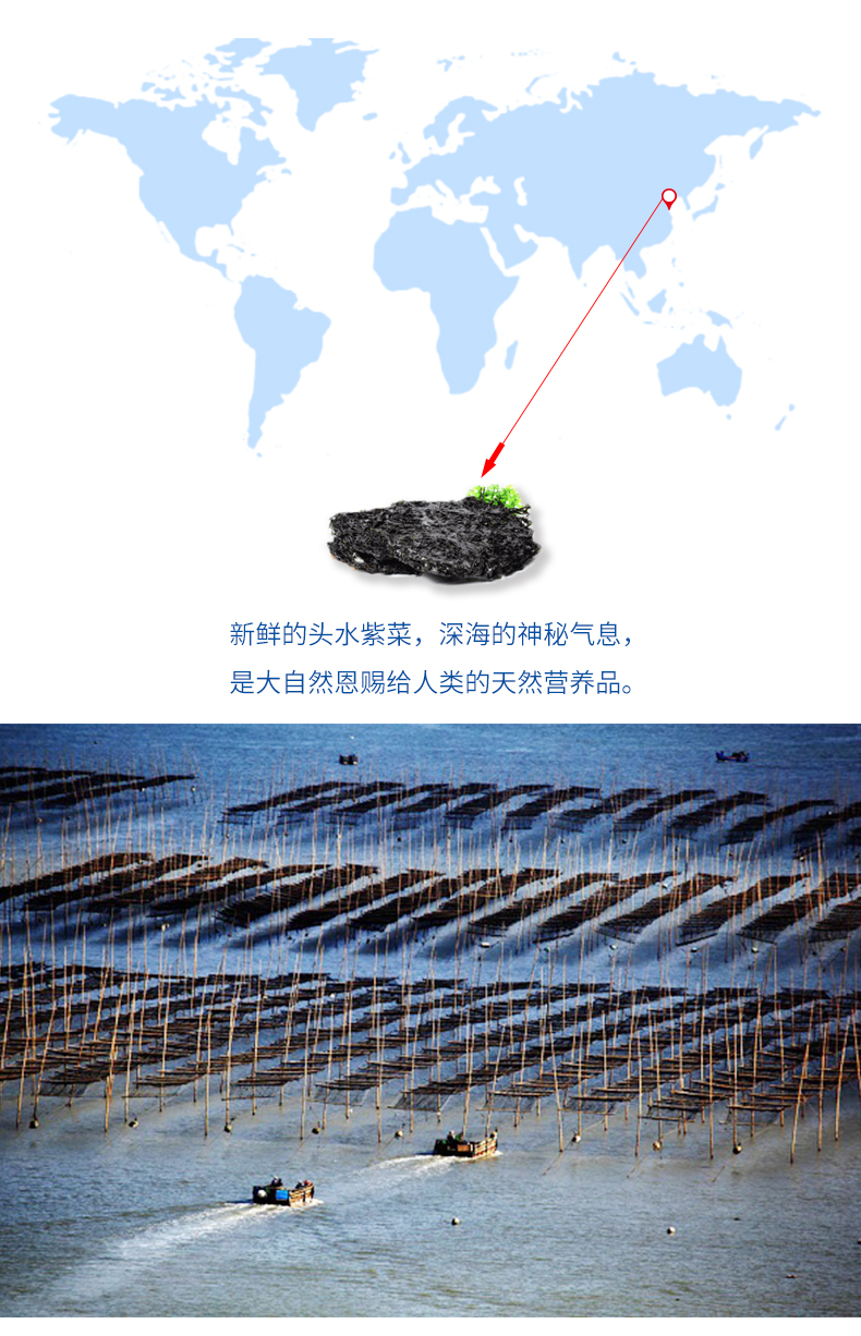 肉松海苔卷_04.jpg