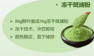 斑斕凍干粉