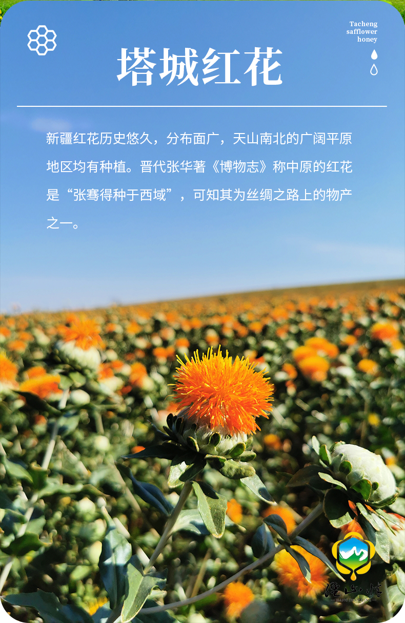O1CN01jKr18c1lcJHUp7teE_!!2208096324839.jpg