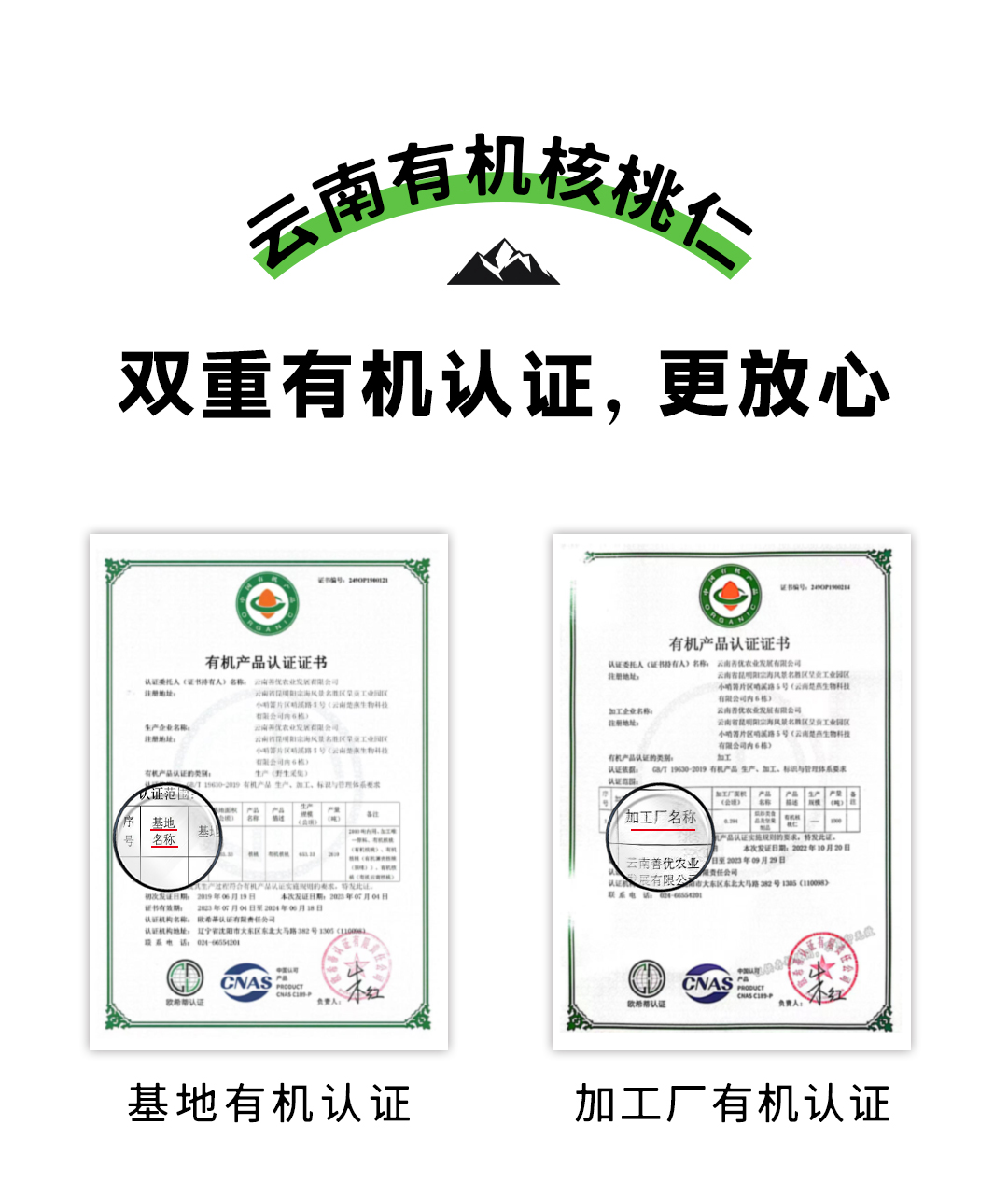 23-11-29-【定稿】甜野七彩云南有機核桃仁-詳情頁_03.jpg