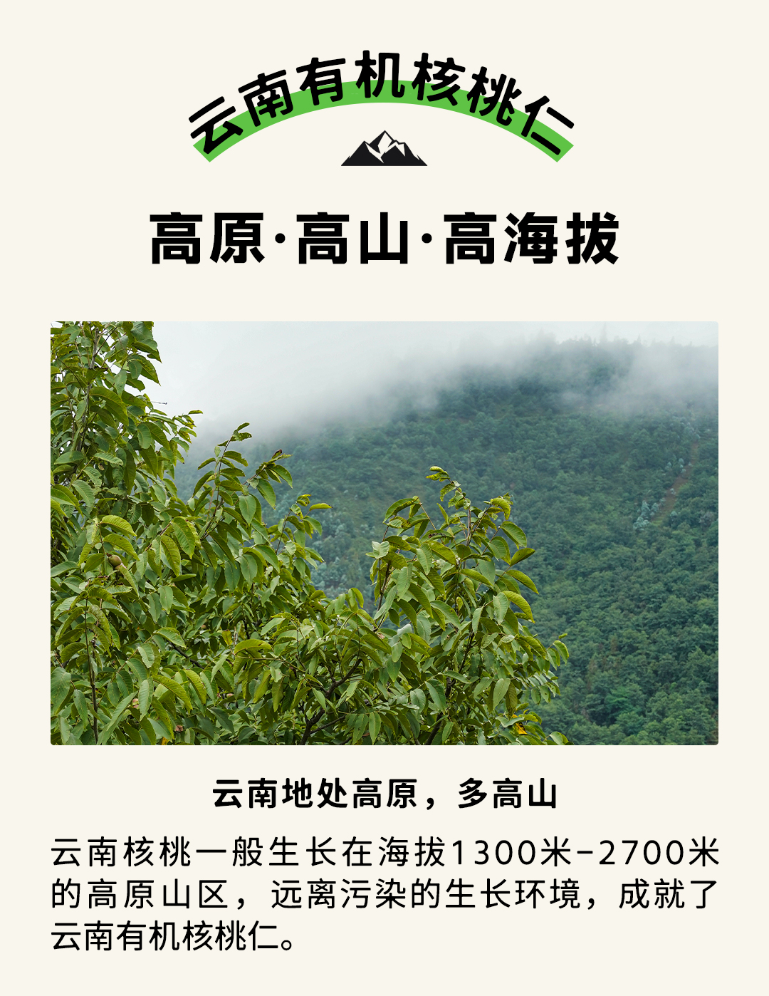 23-11-29-【定稿】甜野七彩云南有機核桃仁-詳情頁_02.jpg