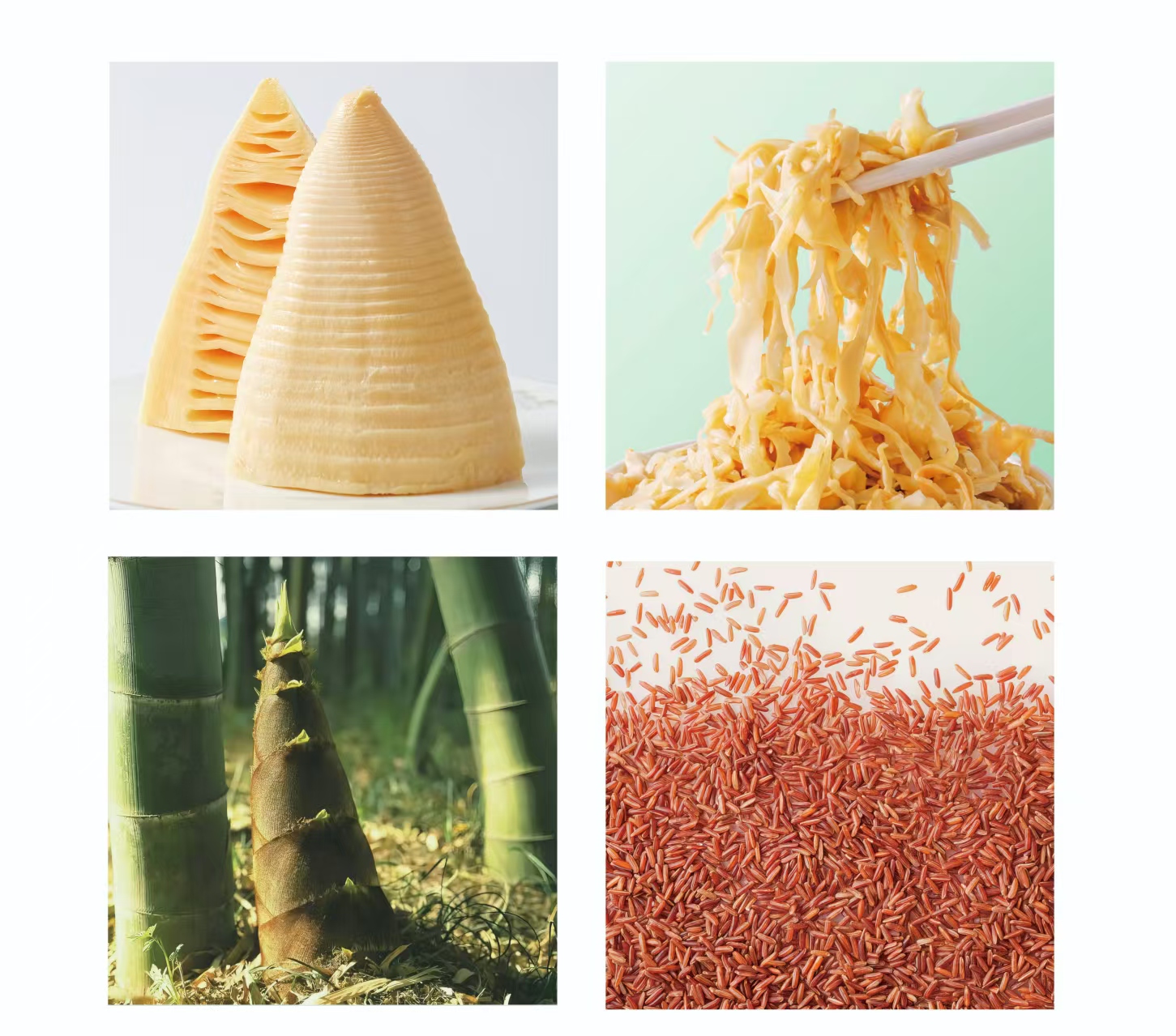 https://imgs.sialchina.cn/exhibitor/image/20240826/06e3ea536335bd7c8a7bf1a936f51f0766cc2d4204bc0.jpg