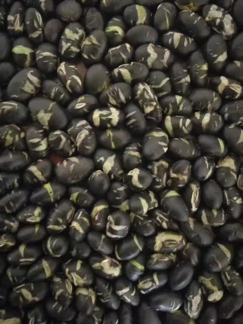 香酥黑豆