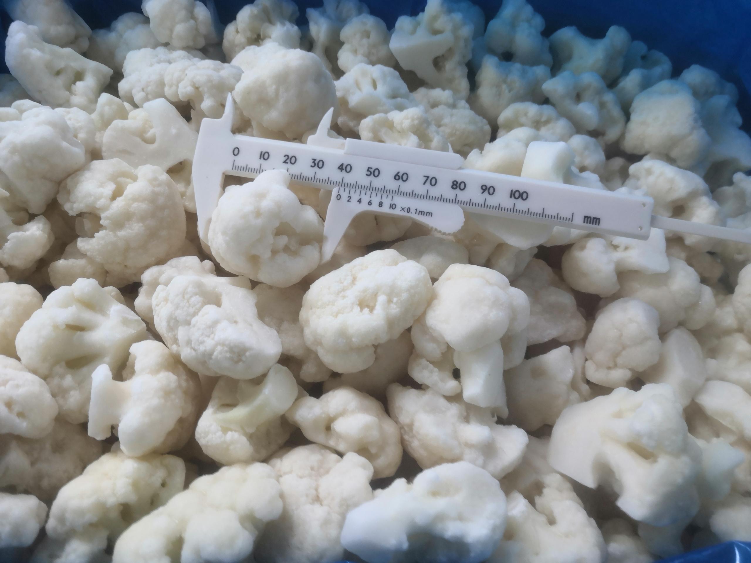 cauliflower 20-40mm (2).jpg