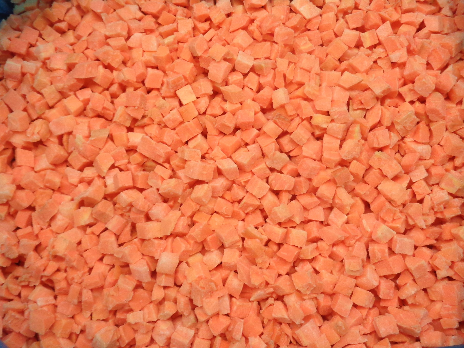 carrots-diced.JPG