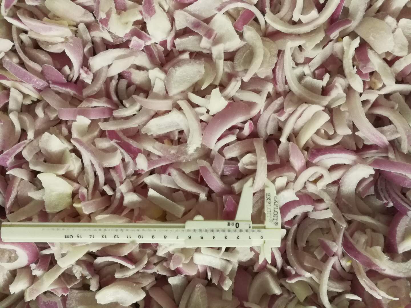 onion-Red  -slices (2).jpg