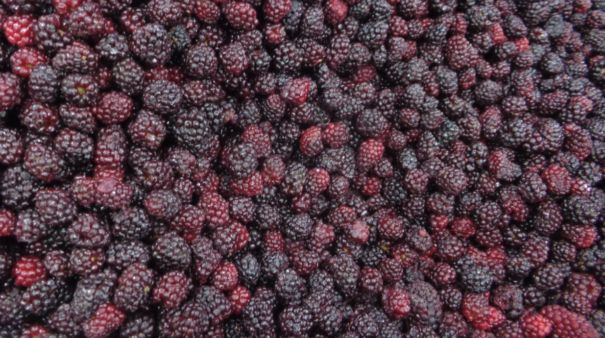 截屏2025-03-13 13.23.41.png