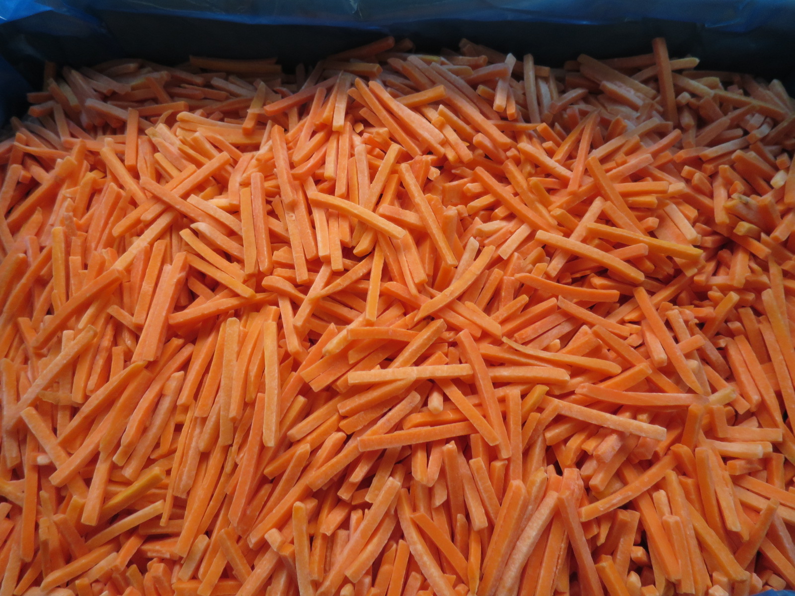 速冻胡萝卜丝
