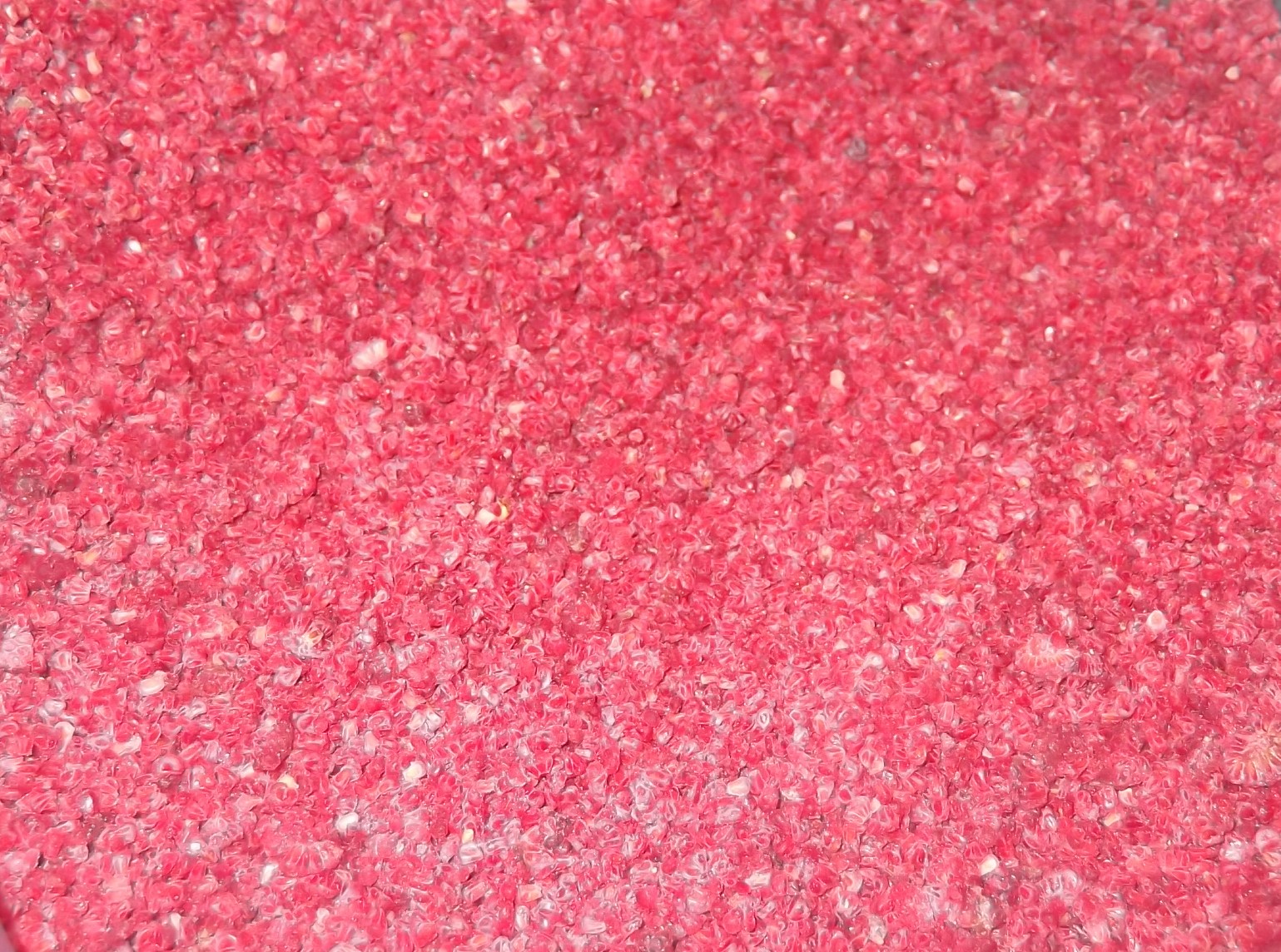 raspberry crumble.JPG